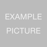Example picture