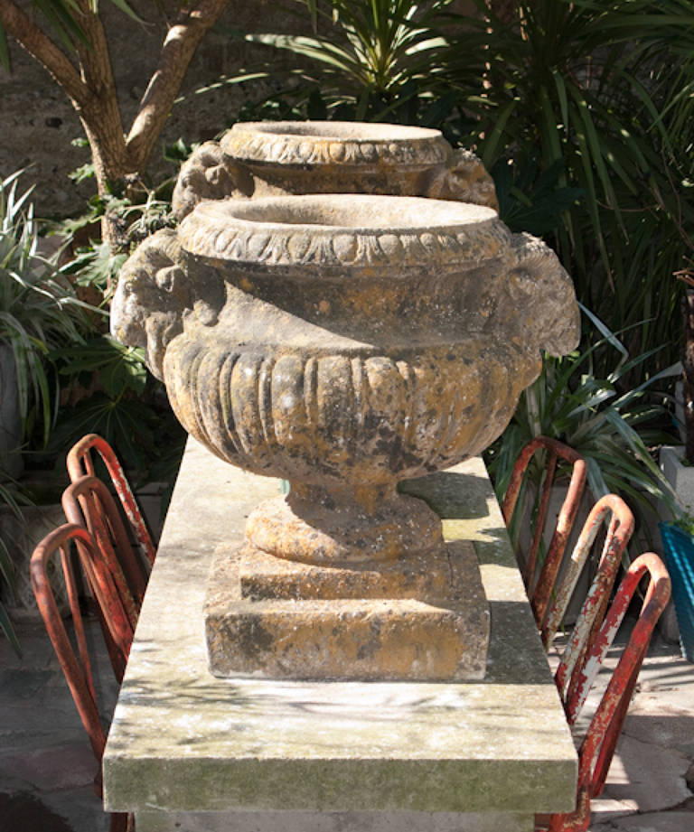 Pair of Rams head urns