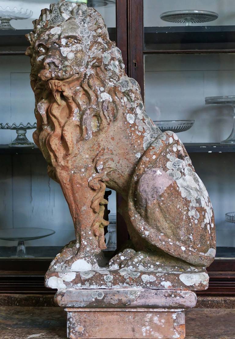 Terracotta Lion