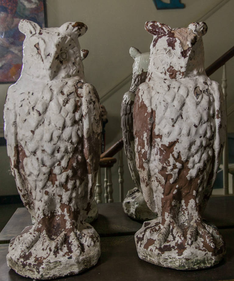 Pair owls