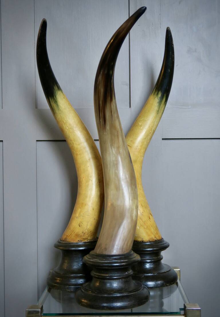 3 Horns on stands, circa 1900, Italy